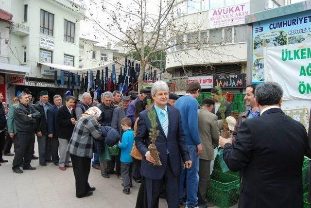 Edremit Orman Müdürlüğü Halka Ücretsiz Fıstık Çamı Dağıtı