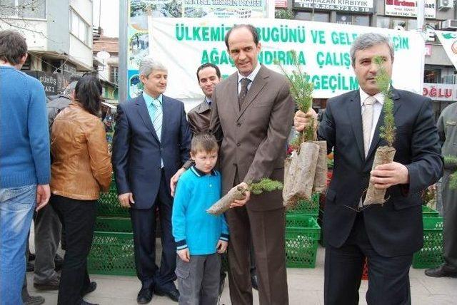 Edremit Orman Müdürlüğü Halka Ücretsiz Fıstık Çamı Dağıtı