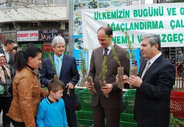 Edremit Orman Müdürlüğü Halka Ücretsiz Fıstık Çamı Dağıtı