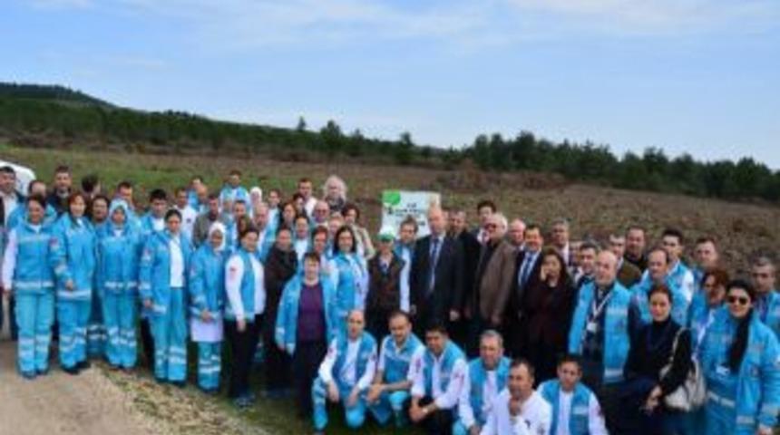 Sağlık&ccedil;ılar Fidan Dikti