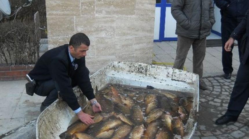 Yeni&ccedil;ağa&rsquo;da Balık Avcılarına Darbe