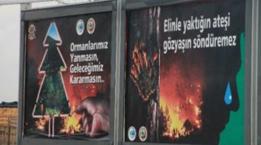 Ormancılık Haftasında Anlamlı Afiş