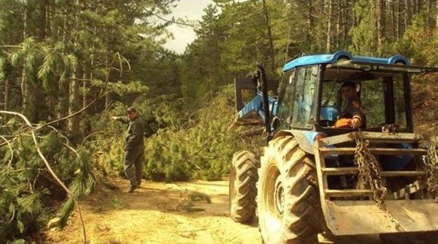 Fırtına En &Ccedil;ok Ağa&ccedil;lara Zarar Verdi