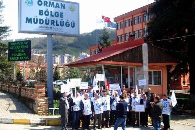 Orman Muhafaza Memurlarının Atama Tepkisi 1