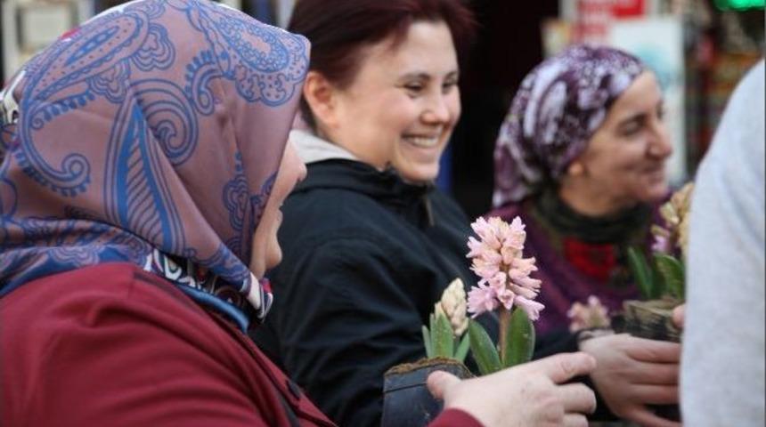 G&uuml;ng&ouml;ren&rsquo;de Lale Ve S&uuml;mb&uuml;l Zamanı Başladı