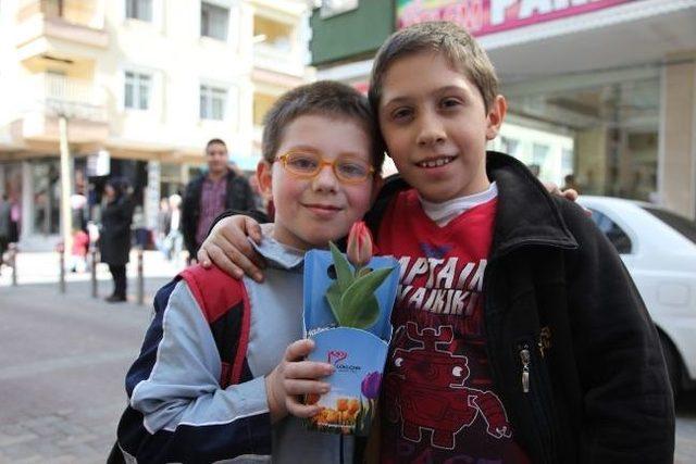 G&uuml;ng&ouml;ren&rsquo;de Lale Ve S&uuml;mb&uuml;l Zamanı Başladı 1