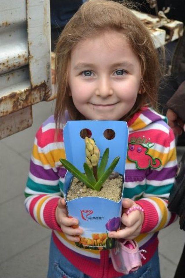 G&uuml;ng&ouml;ren&rsquo;de Lale Ve S&uuml;mb&uuml;l Zamanı Başladı 2