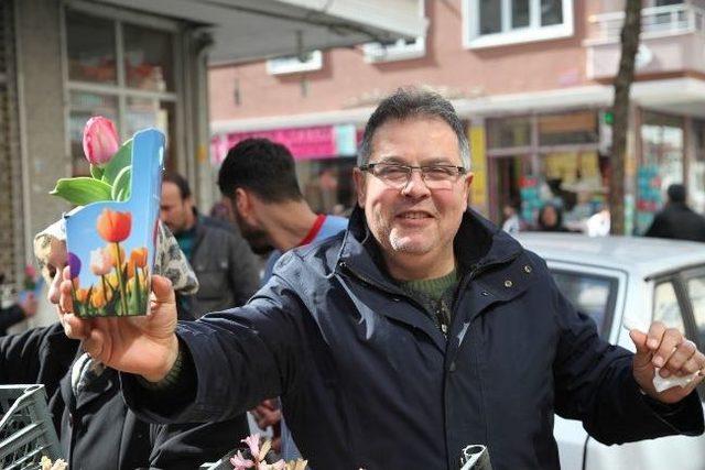 G&uuml;ng&ouml;ren&rsquo;de Lale Ve S&uuml;mb&uuml;l Zamanı Başladı 3