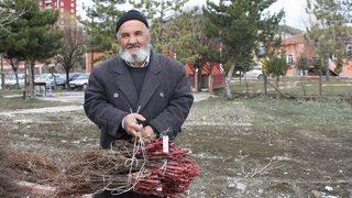 Yozgat’ta 40 Bin Bağ Çubuğu Fidanı Dağıtıldı