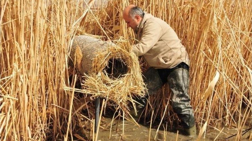 Yaban Kuşlarına Yuva