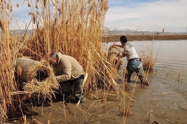 Yaban Kuşlarına Yuva 2