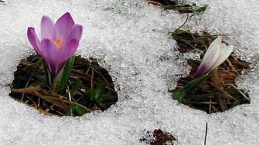 Avrasya&rsquo;nın Ortak Paydası &ldquo;nevruz&rdquo;