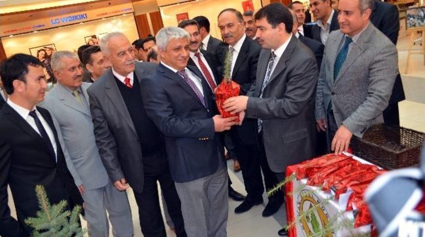 Malatya&rsquo;da &Uuml;cretsiz Fidan Dağıtımı Yapılıyor