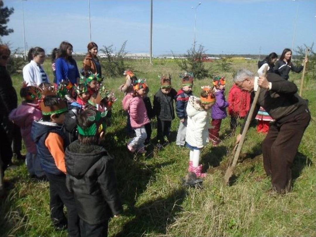 Emşav Ve Peder Fidan Dikti