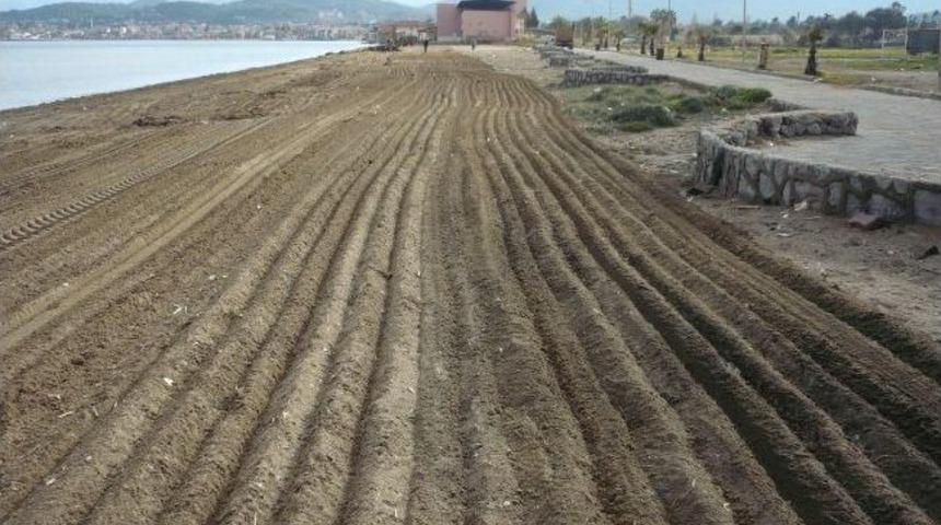 Urla Sahilleri Makinalarla Temizleniyor