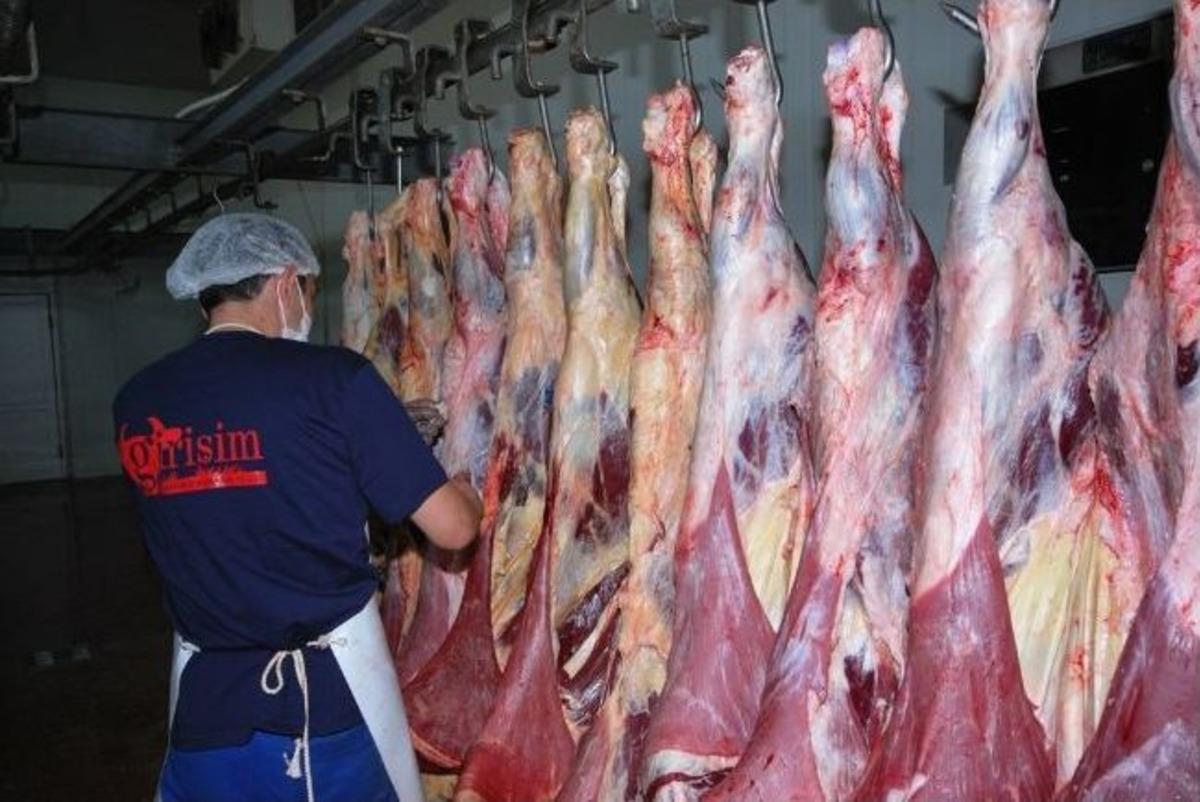 &Ccedil;ubuk, Etin Başkenti Oluyor