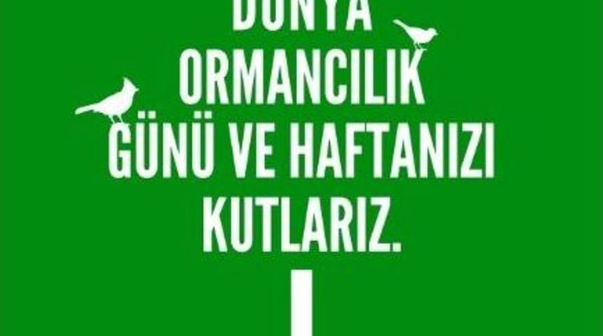 T&uuml;rkiye Orman Varlığını Artıran Ender &Uuml;lkelerden Biri