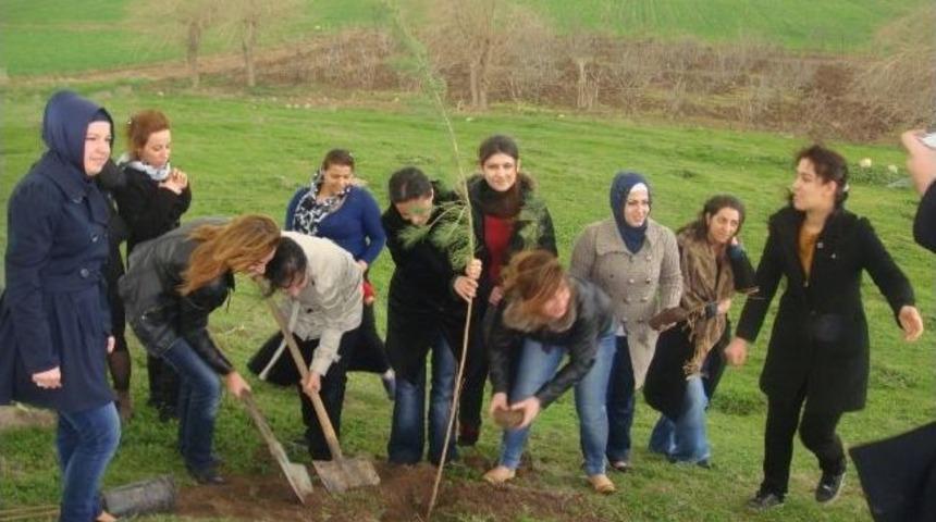 Irak Sınırını 'ak Kadınlar' Yeşertecek