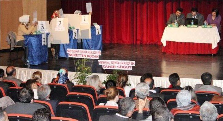 Aksaray’da Kadın Çiftçiler Yarıştı G3