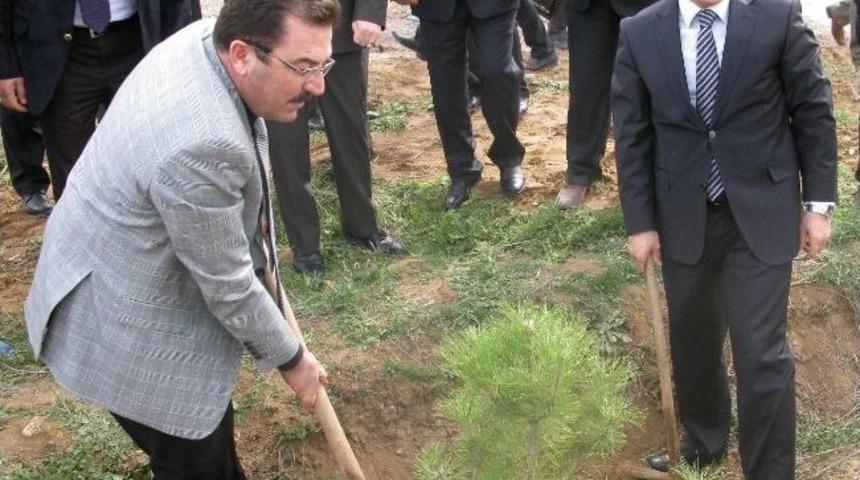 Adalet Mensupları Ve Mahkumlar Fidan Dikti