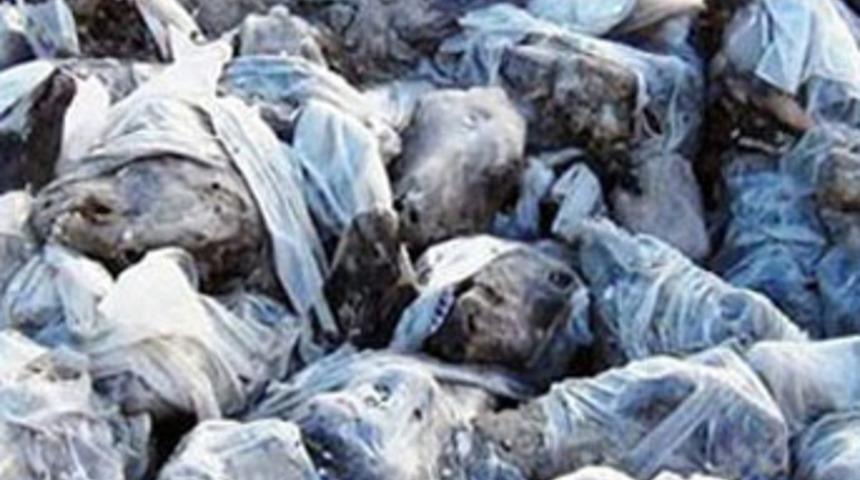 Kar eridi korkun&ccedil; manzara ortaya &ccedil;ıktı