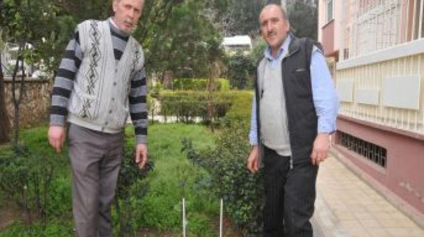 &Ouml;nce Kameraya Baktı Sonra &Ccedil;aldı