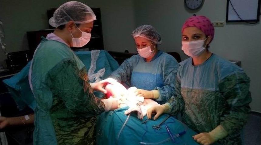 Karın Ağrısı İle Gitti, Karnından 2.5 Kg&rsquo;lık Kitle &Ccedil;ıktı