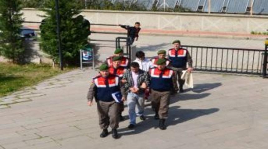 Zeytin Hırsızlarını K&ouml;yl&uuml;ler Yakalayıp Jandarmaya Teslim Etti