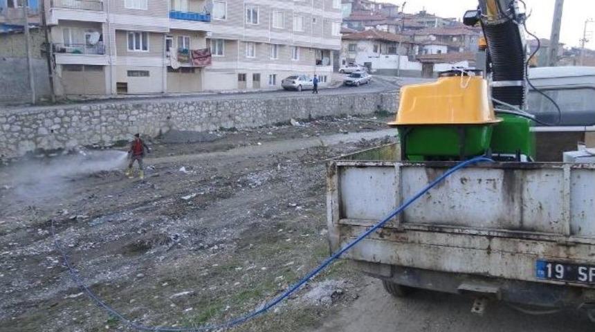 Sungurlu&rsquo;da Larva İla&ccedil;lama &Ccedil;alışması Start Aldı