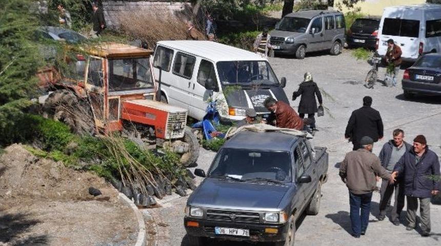 Bafra&rsquo;da 15 Bin Fidan Dağıtıldı