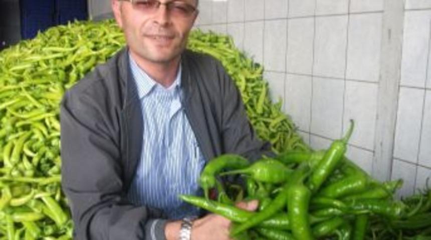 Serada &Uuml;r&uuml;n Azaldı, Sivri Biber Sofraya 10 Liraya Geliyor