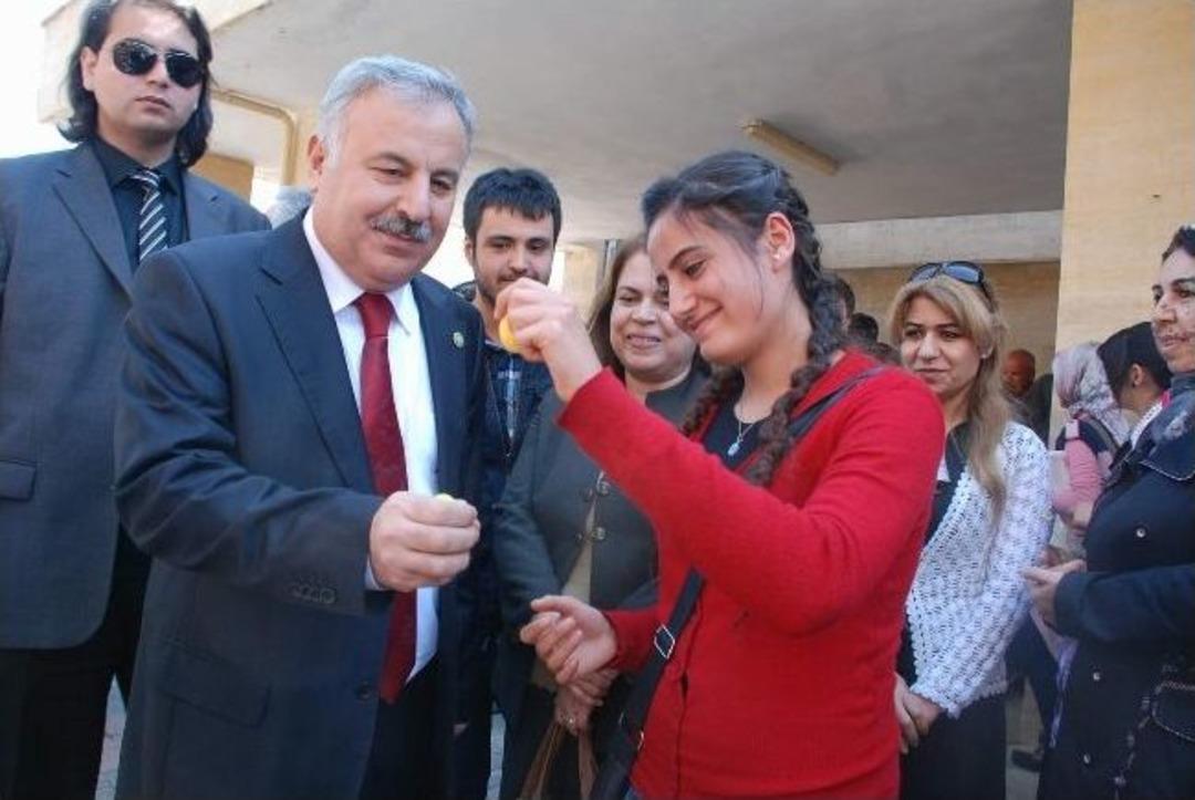 Şanlıurfa'da Nevruz Kutlaması