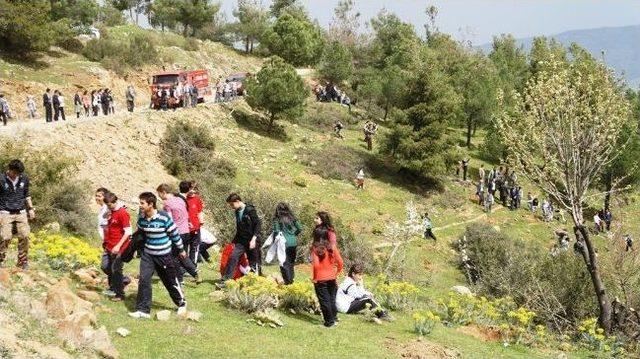 Sarıg&ouml;l&rsquo;de &Ouml;ğrenciler Ağa&ccedil; Dikti 1