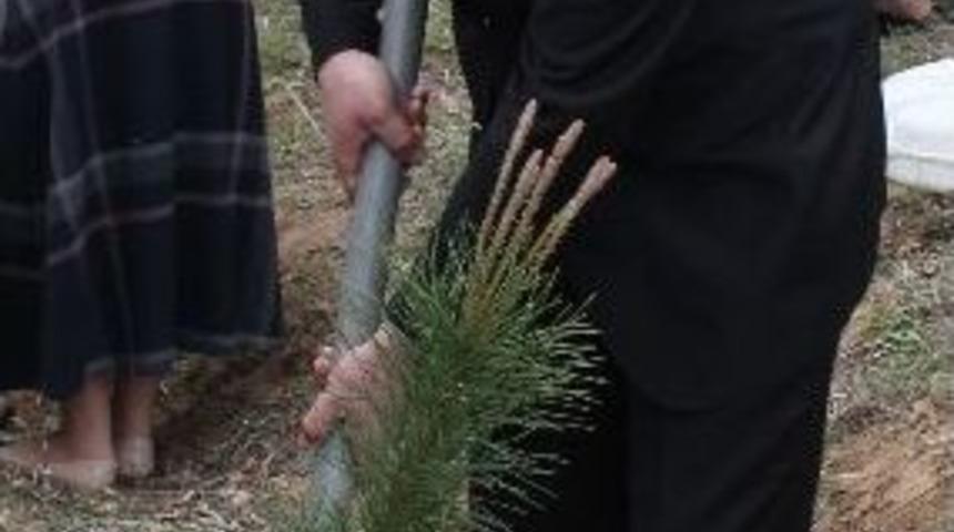 Bursa&rsquo;nın Yeşiline Doruk Katkısı