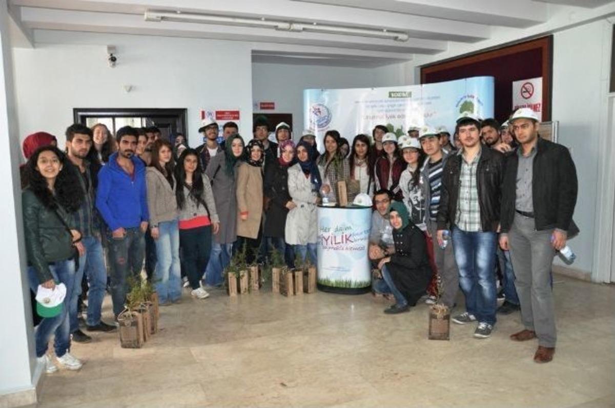 Gen&ccedil;lik Ormanı K&ouml;k Saldı