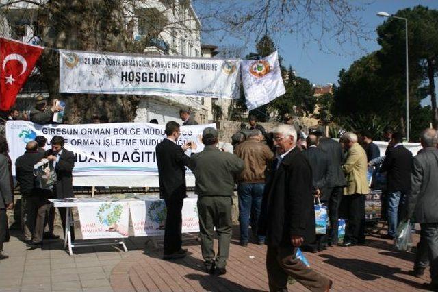 Orman Haftası&rsquo;nda 10 Bin Fidan 1