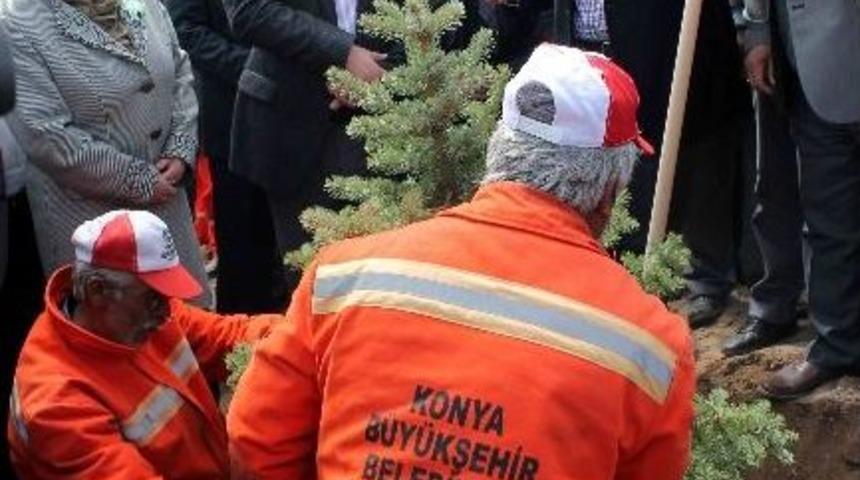 Konya&rsquo;da 2 Milyon Fidan Toprakla Buluştu
