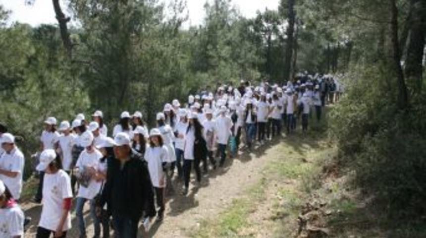 Ormancılık Haftası Kutlanıyor