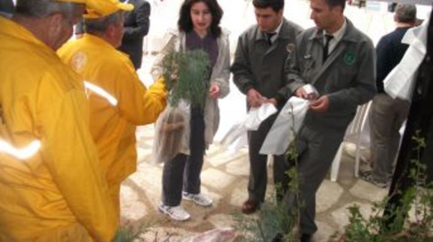 &Ouml;ğrencilere Orman Sevgisini Aşılamak I&ccedil;in 3 Bin Fidan Dağıtıldı
