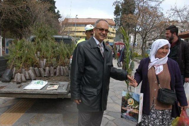 Muğla da 40 Bin Fidan Dağıtıldı 1