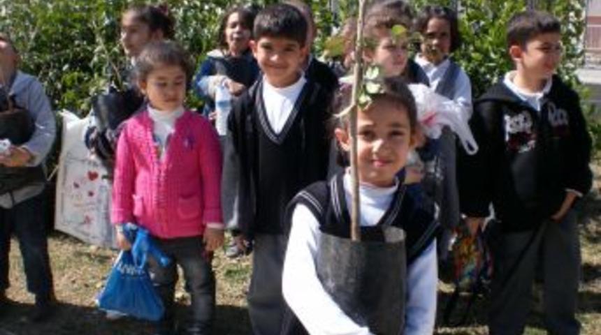 Lise Ve Ilk&ouml;ğretim &Ouml;ğrencileri El Ele Vererek 900 Fidan Dikti