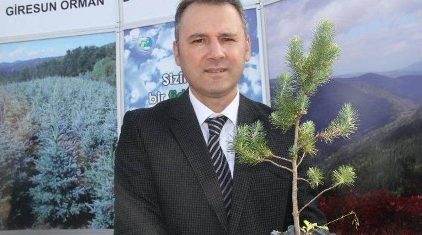 Giresun'da Bin Adet Fidan 10 Dakikada Dağıtıldı