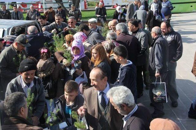 Giresun da Bin Adet Fidan 10 Dakikada Dağıtıldı 1