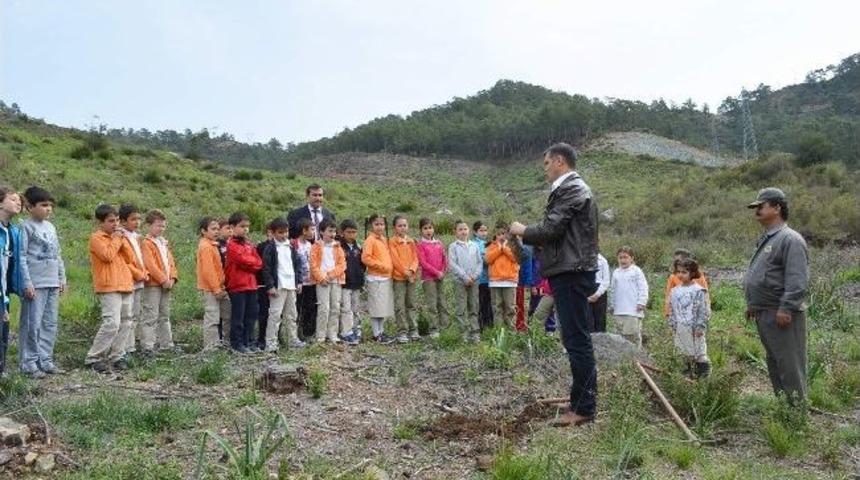 Minik Eller Fidanları Toprakla Buluşturdu