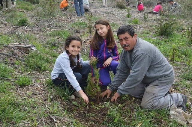 Minik Eller Fidanları Toprakla Buluşturdu