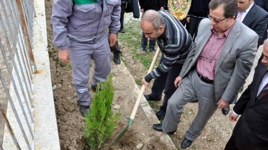 Dursunbey'de Basın Ormanı Oluşturuldu