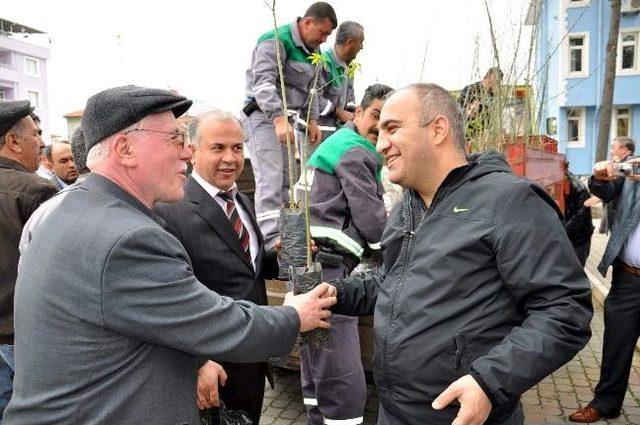 Dursunbey de Basın Ormanı Oluşturuldu 1