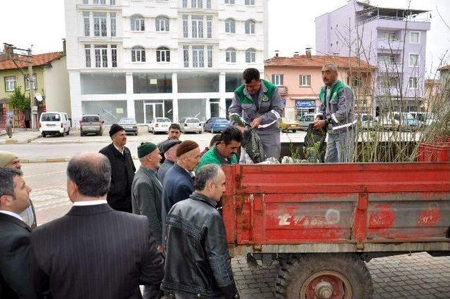 Dursunbey de Basın Ormanı Oluşturuldu 2