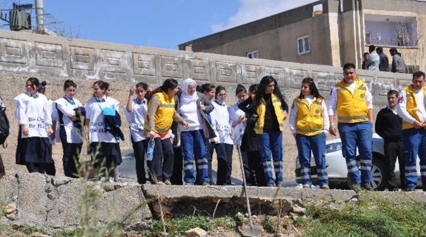 Şırnak Şehir Stadyumu &Ccedil;evresi Ormanlık Alana &Ccedil;evrildi