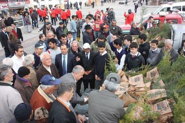 Orman Haftası&rsquo;nda 500 &Ccedil;am Fidanı Dağıtıldı 2